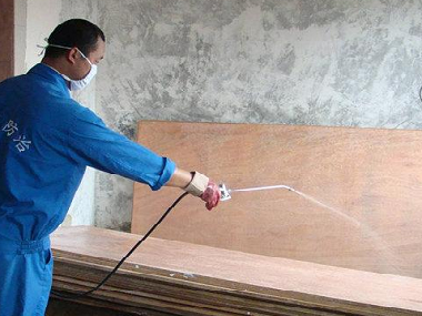 噴藥粉和誘殺法，滅白蟻到底哪種方法更好？