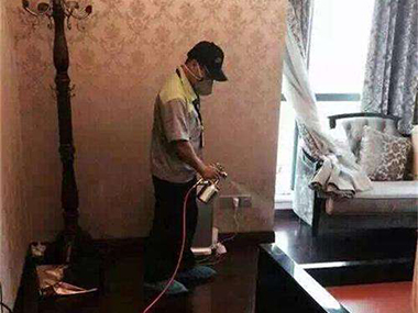防治白蟻有什么方法！
