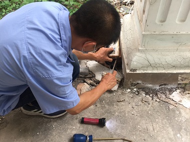 桂城白蟻防治公司除掉白蟻一次需要多長時間