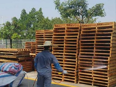獅山白蟻防治裝修要預(yù)防白蟻危害的原因
