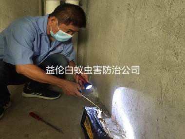 佛山禪城樓房滅白蟻