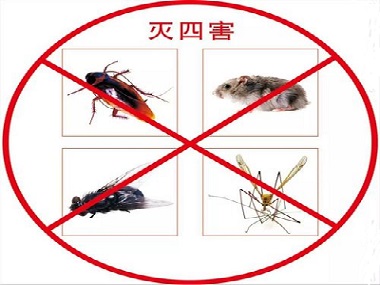 佛山除四害消殺提醒您沒(méi)有看到害蟲(chóng)也要定期檢查預(yù)防害蟲(chóng)
