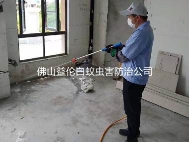 平洲新裝修房屋預(yù)防白蟻