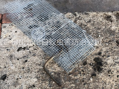 小塘鎮(zhèn)上門(mén)抓蛇工程