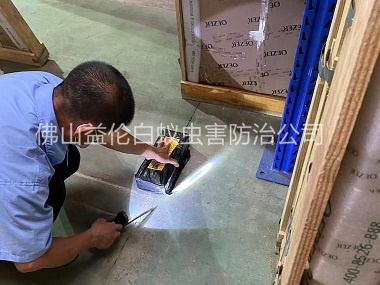 平洲工廠(chǎng)車(chē)間治白蟻