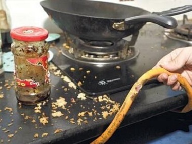 西樵鼠類消殺公司飯店餐飲場所滅鼠防鼠方案